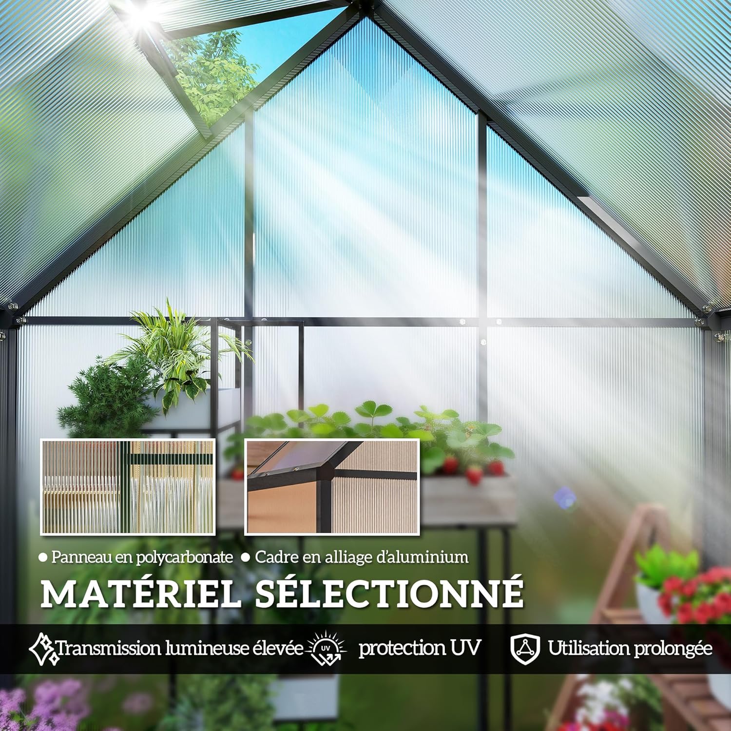 Outsunny Gewächshaus aus Aluminium und Polycarbonat, Gewächshaus mit verstellbarem Fenster und Flügeltür, wetterfestes Außenhaus für Pflanzen, Blumen, Gemüsegarten und Setzlinge, transparent — Ansicht 4