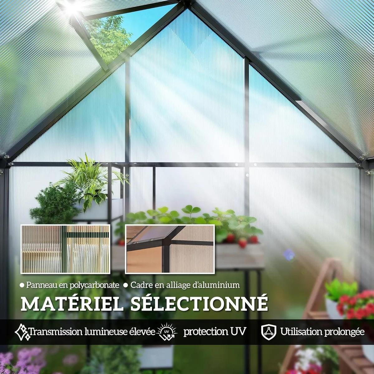 Gewächshaus aus Aluminium und Polycarbonat, Gewächshaus… — Ansicht 4
