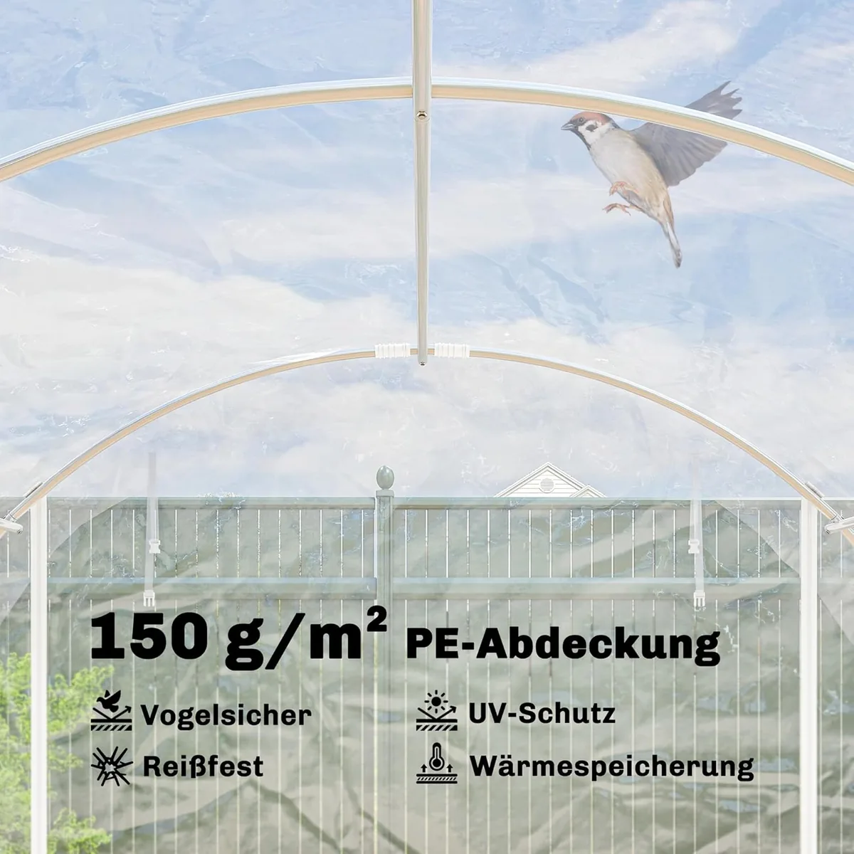 Gewächshaus ca. 4 x 3 x 2 m Foliengewächshaus mit Breiter… — Ansicht 4